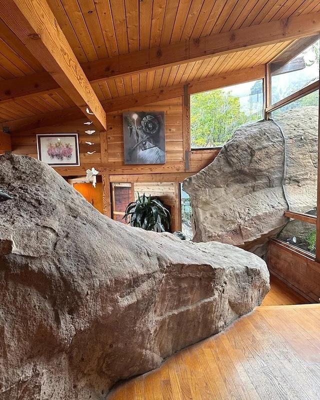 Architectural Vision