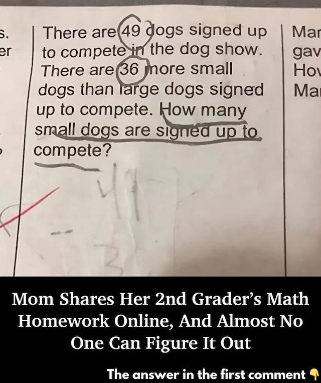A 2nd grader's math problem that left many adults puzzled. It asks how many small dogs are signed up for a dog show.