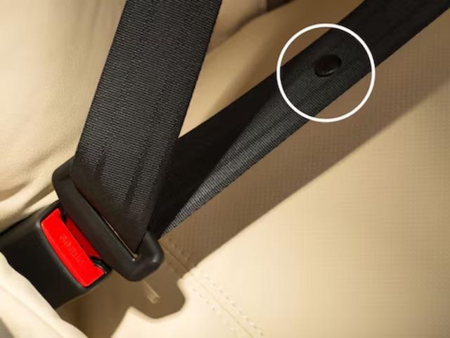 The small button on the seatbelt prevents the buckle from sliding too far down, ensuring it’s always within easy reach