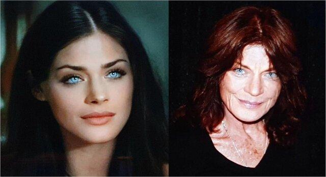 Meg Foster: A Journey of Grace, Talent, and Timeless Beauty